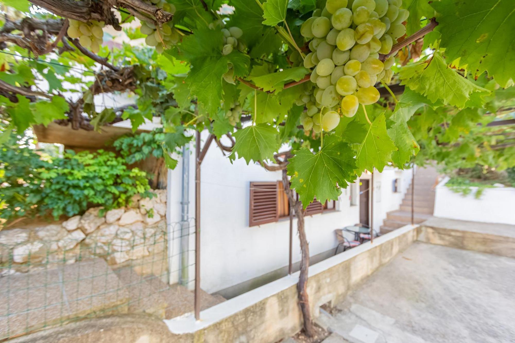 Apartmani Mw, Plavi Apartman Baška Eksteriør billede
